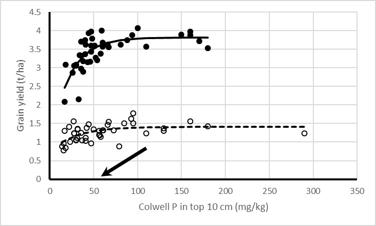 Two line graphs showing the response of two crops to increasing soil concentrations of phosphorus on a red brown earth at Wasley’s, in the lower north of South Australia in 2020. Solid circles are wheat, hollow circles are chickpea. The arrow points to the Colwell phosphorus value which corresponds to 90 per cent of maximum grain yield derived from the fitted curves for both crops.