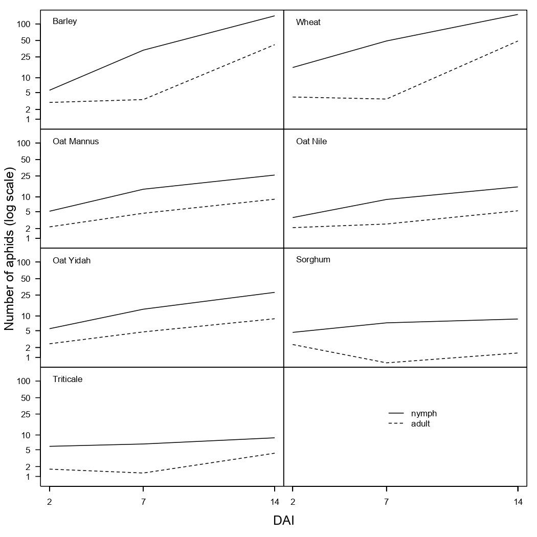 This series of line graphs show the mean numbers of adults and nymphs of Russian wheat aphid (RWA) on different hosts 2, 7 and 14 days after infestation (DAI
