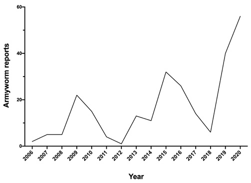 Line graph showing reports logged as ‘armyworm’ for South eastern Australia over 2006-2020 (Source: PestFacts Map database). 