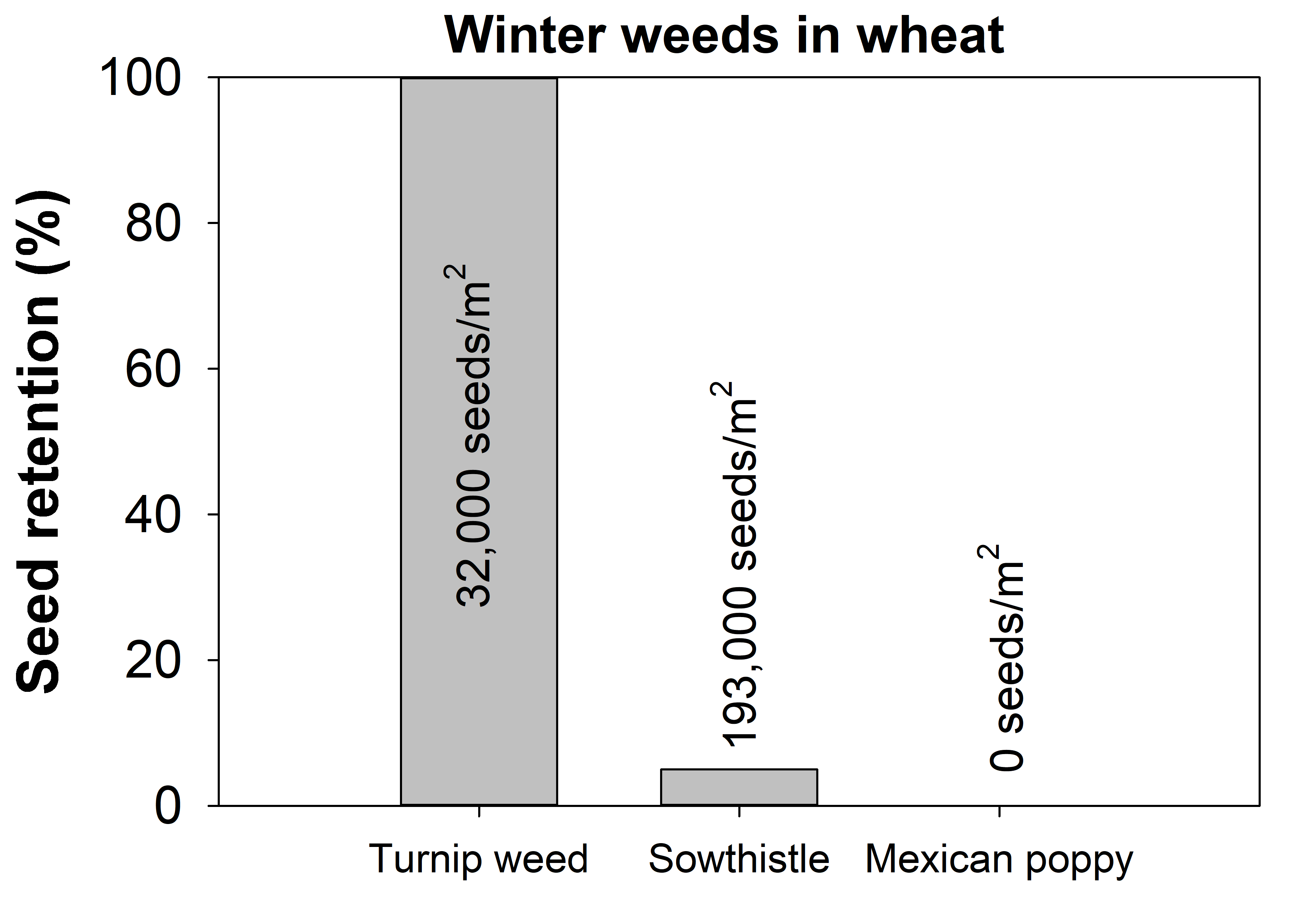 This column graph illustrates seed retention (>15 cm from the surface) of winter weeds in a wheat crop. Maximum seed production (seeds/m2) by these species is also given as text.