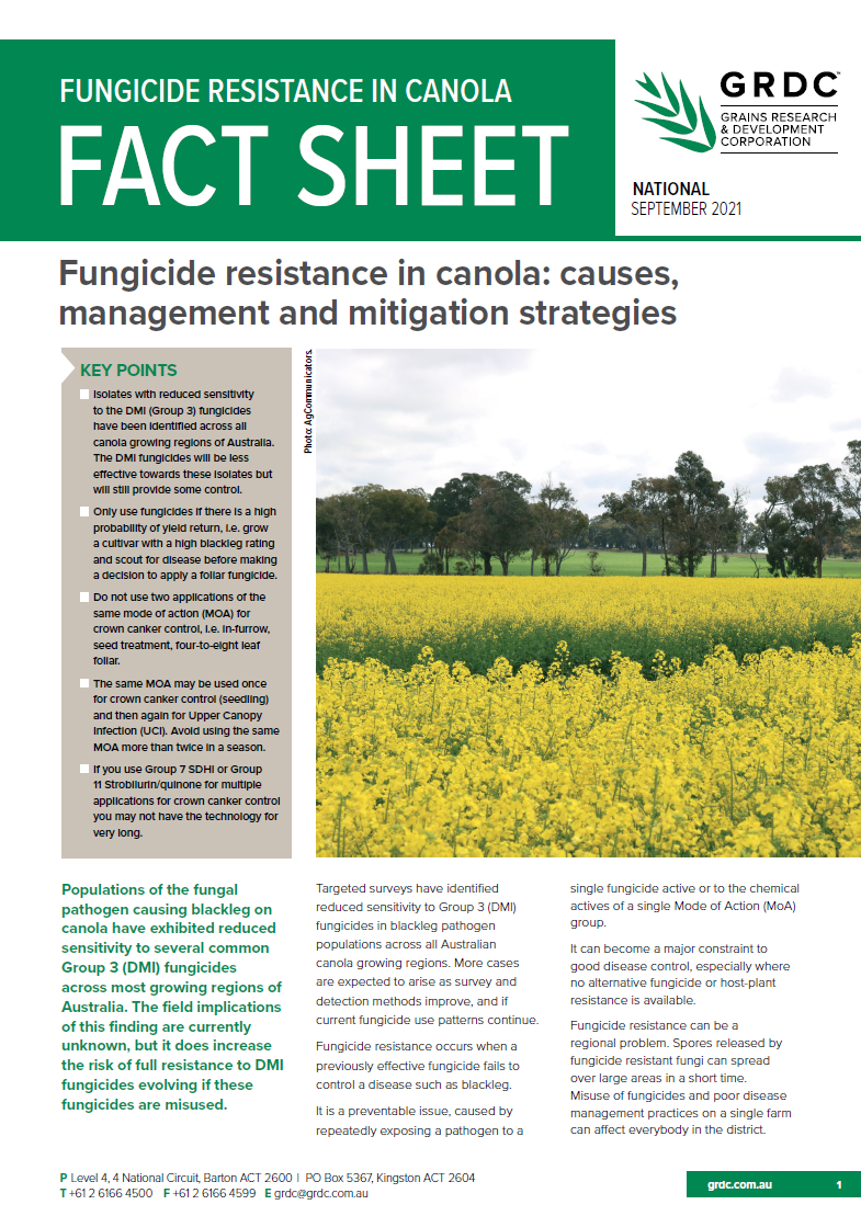 image of Fungicide resistance in Canola Fact Sheet-cover-thumbnail