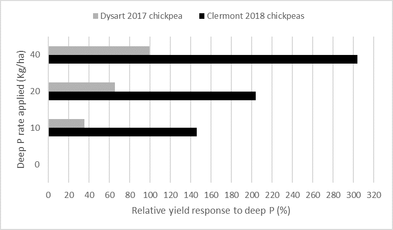 This bar chart shows the mean relative grain yield responses to deep applied P treatments as a % of the zero P treatment for two chickpea crops that were grown with limited in-crop rainfall. Both these crops were also grown on sites that had limited surface (< 8 mg/kg) and sub-surface (< 3 mg/kg) P concentrations.