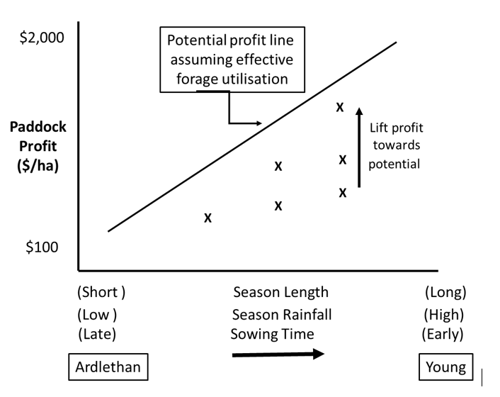 The potential paddock-scale profit from dual-purpose crops assuming effective forage utilisation (solid line) increases with longer seasons, more rain and early sowing.  Improved crop and livestock management can improve profit at any potential level (crosses).