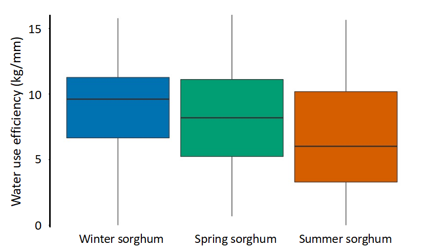 Box plot showing modelled water use efficiency (kg/mm) for the three tested times of sowing (winter, spring, and summer). Results are APSIM simulations for the 15 sites and combined three times of sowing, six commercial hybrids and four plant populations, sown across the Liverpool Plains, Northern NSW, Darling Downs, Western Downs and Central Queensland for the 2018/19 and 2019/20 seasons.