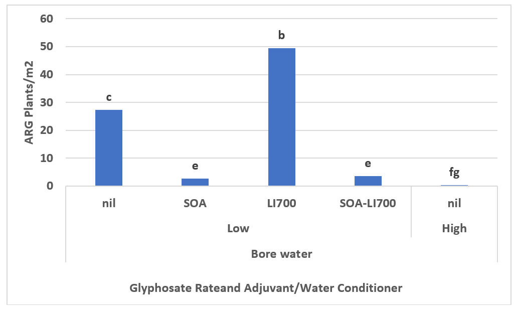 Column graph showing surviving ARG numbers (34 DAA) in response to spray additives and ‘Low’ and ‘High’ glyphosate rates when applied in 100 L/ha of bore water near Narromine 2021