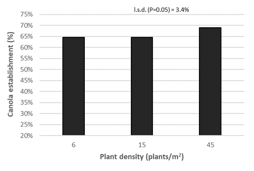 Column graph of plant density effect on following year canola establishment