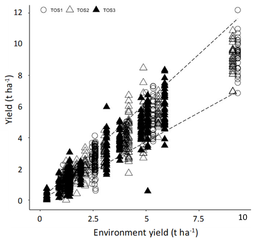 Chart showing grain yield as a function of the environment yield (average treatment yields for each site x season x time of sowing) for 2018-2020 with different time of sowing