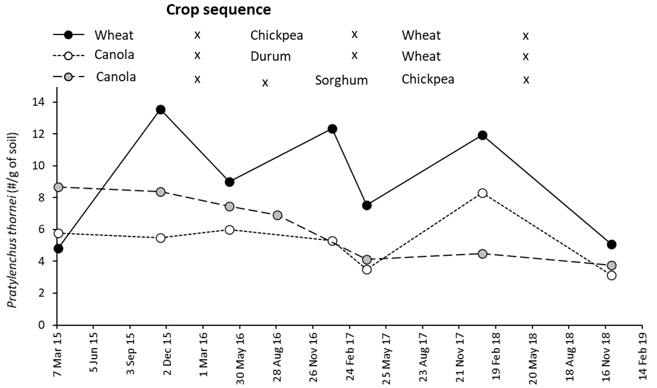 Line graph showing root lesion nematode (P. thornei) populations in the soil over different crop sequences.