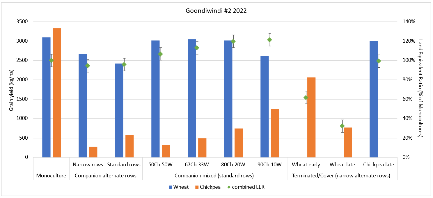 Column graph showing the grain yield of companion crops at Goondiwindi 2022 and land equivalent ratios (LER) showing yield relative to monocultures on standard row spacing. Error bars show LSD at p = 0.05; LERs with overlapping error bars are not significantly different.