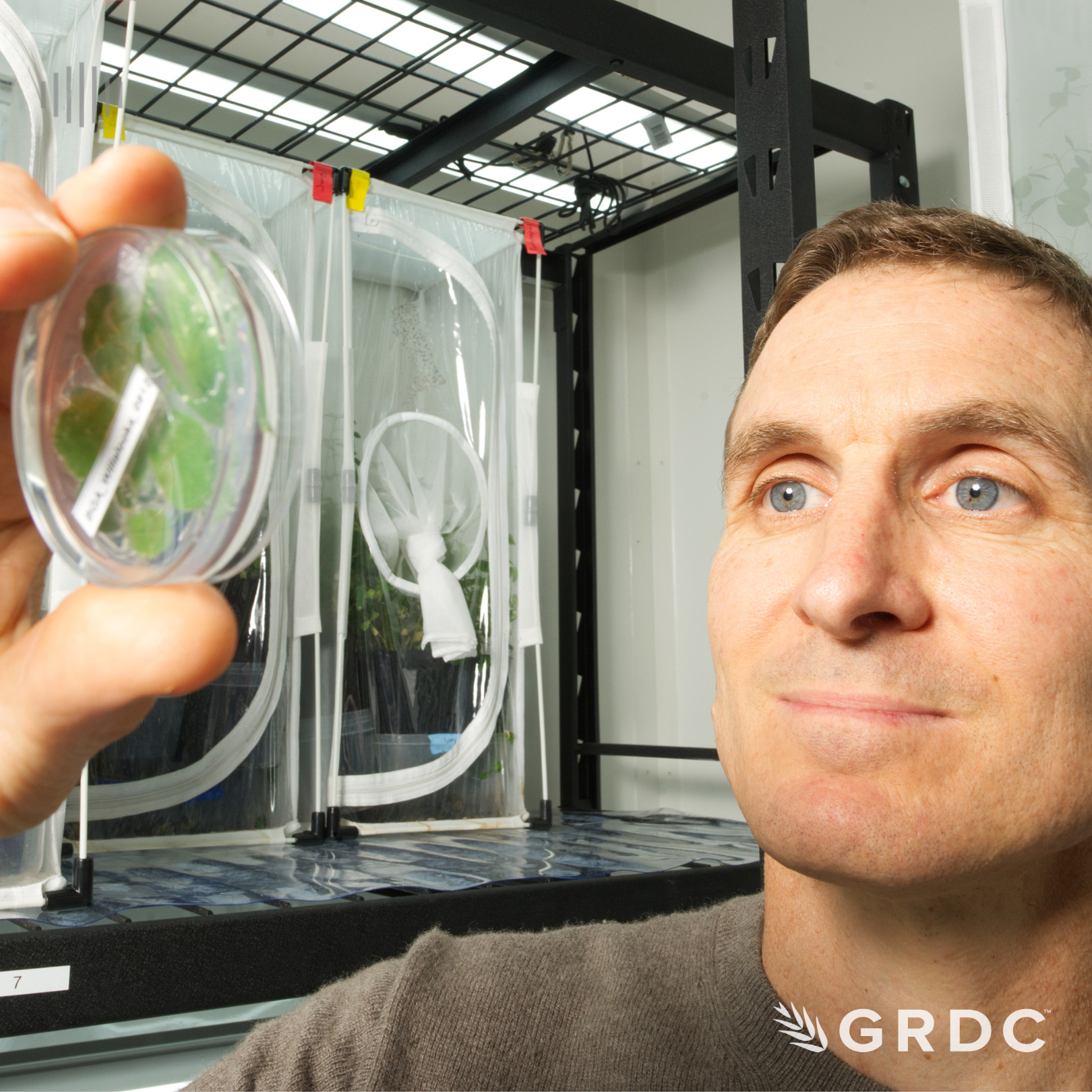 Novel solutions for pest management