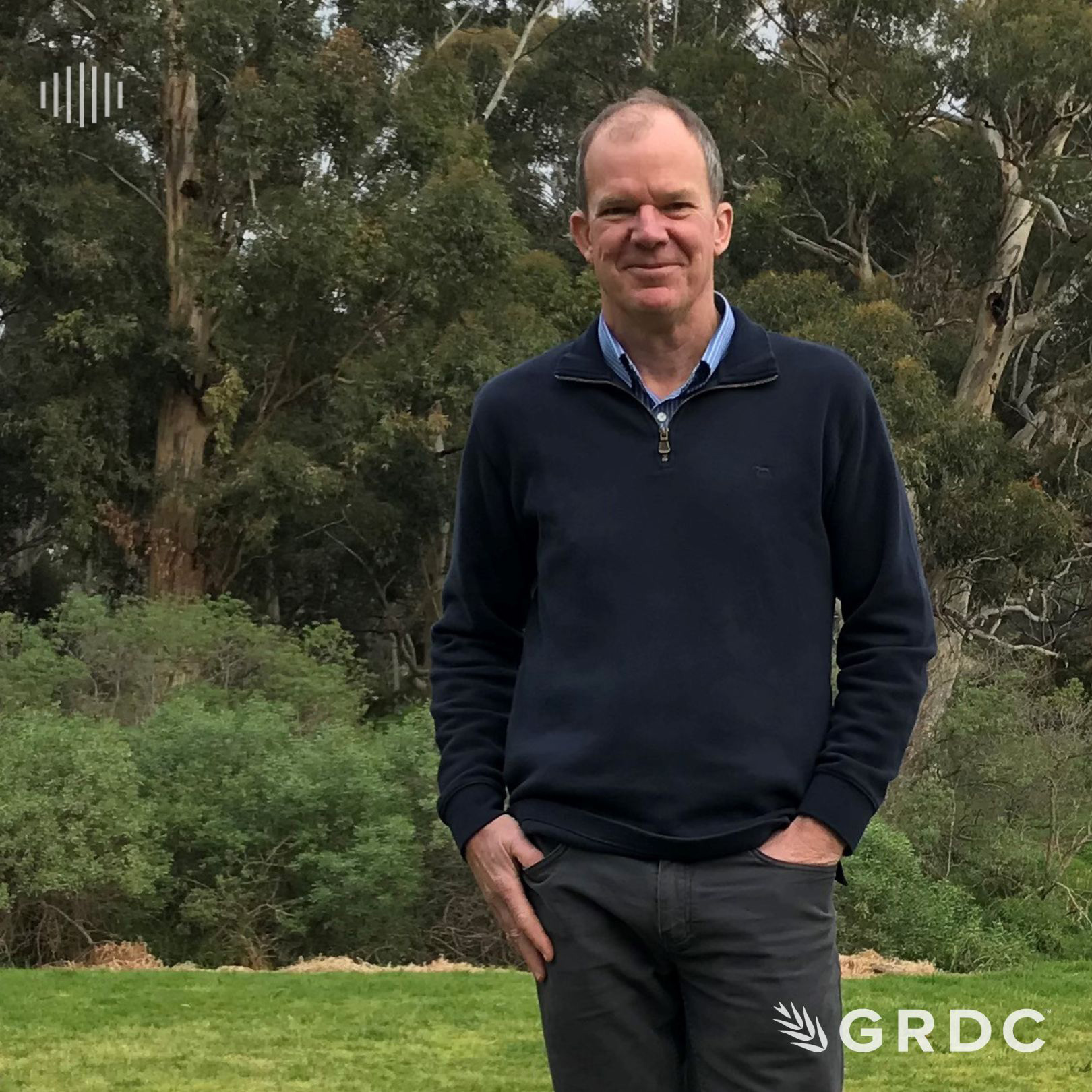 Urea supply and nitrogen decision making