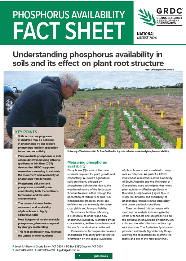 Phosphorus availability -     GRDC