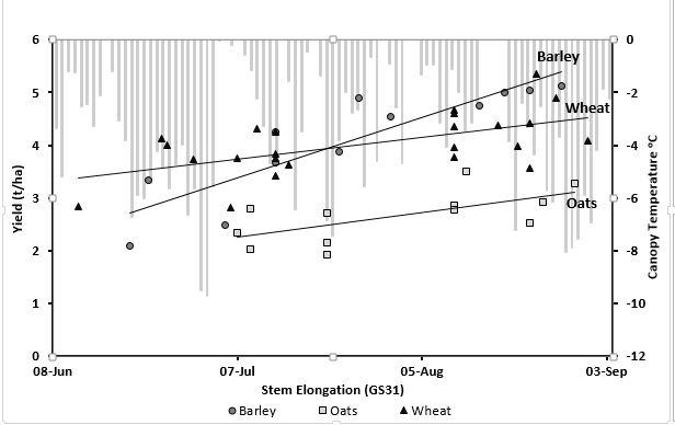 The incidence and severity of frost events measured at canopy height (shown in light grey bars) provide an indication of the number of frosts experienced by the crop when stem elongation occurs too quickly.