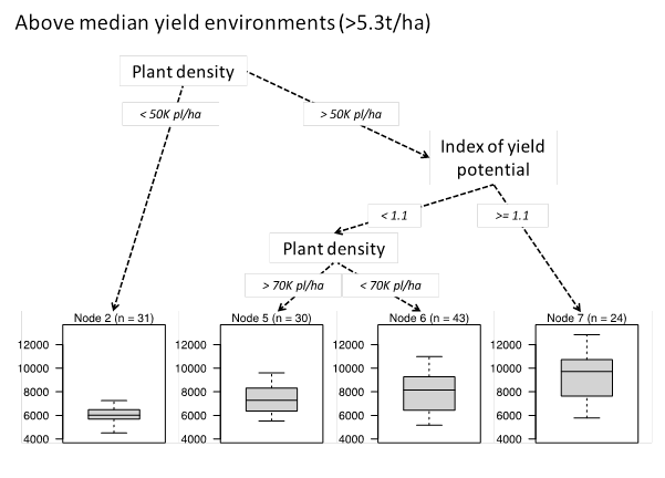 Figure 2b (bottom diagram) shows a hierarchy of simple rules of thumb from on-farm trials for above (lower graph) median (5.3t/ha) yielding environments. The right-hand side of diagram shows the highest yielding hybrid and management combinations. While, the left-hand side of the graphs shows the lowest yielding combinations of hybrid and management for each environment. The dashed red line indicates a yield of 2.5t/ha. ISW = initial starting water (at sowing) as a % of PAWC; n = is the number of treatments included in each graph.