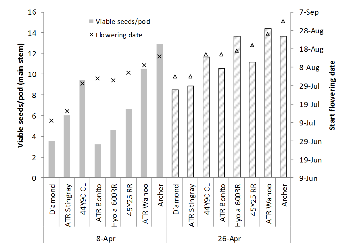 Figure 3 is a column graph that shows viable seeds per pod (columns) and flowering date (× and Δ) of eight canola varieties - Diamond, ATR Stingray, 44Y90 CL, ATR Bonito, Hyola 600RR, 45Y25 RR, ATR Wahoo and Archer - sown at two sowing dates (averaged across N rates) at Ganmain, 2017 (Viable seeds/pod l.s.d. P<0.05 = 2.1). ATR Stingray , ATR Bonito  and ATR Wahoo  are protected under the Plant Breeders Rights Act 1994.