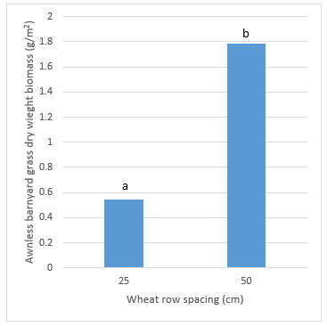 Figure 9 is a column graph which shows awnless barnyard grass dry weight biomass (g/m2) as influenced by wheat row spacing (cm). Bars with a different letter are significant at the 5% significance level.