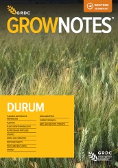 GrowNotes Durum Cover