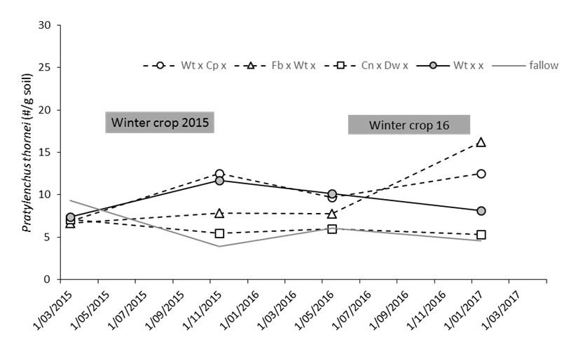 Figure 3 is a line graph which shows changes in root lesion nematode population over 5 different winter crop sequences involving either susceptible crops, wheat-chickpea (Wt x Cp x) and fababean-wheat (Fb x Wt x) compared to two resistant crops, canola-durum wheat (Cn x Dw x) or a wheat followed by a long fallow (Wt xxx).