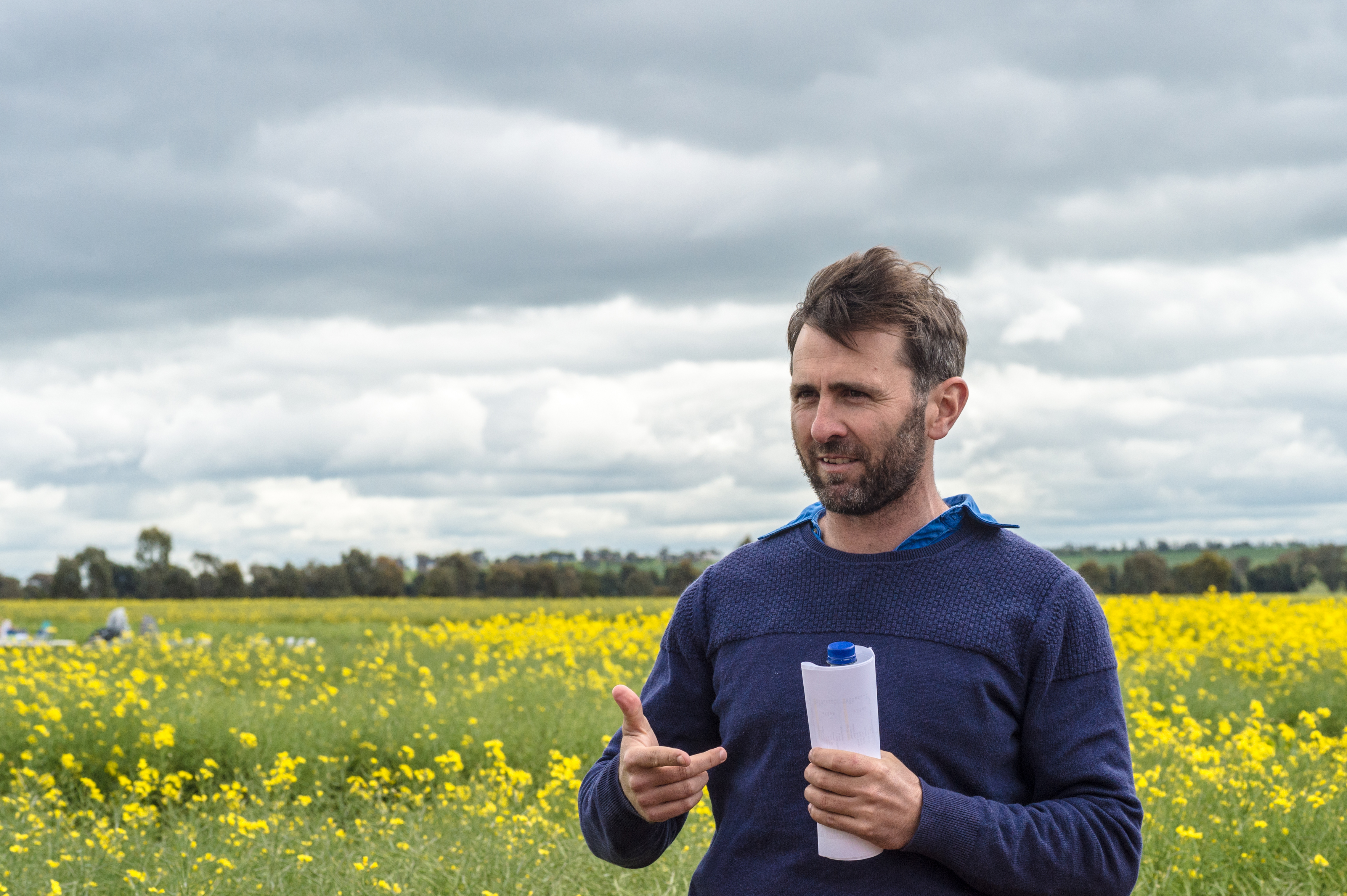 New South Wales Department of Primary Industries (NSW DPI) research and development agronomist Rohan Brill's work to optimise canola profitability provides useful practices based on location, sowing dates and available nitrogen.