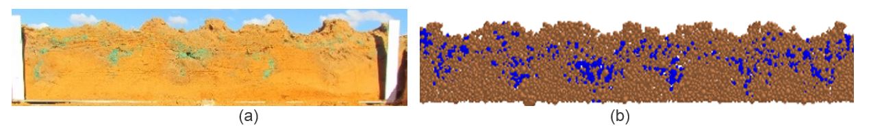 Image of soil profile after spading 