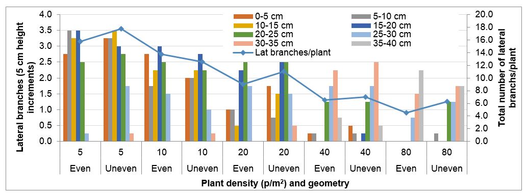 bar and line graph showing the effect of plant density due to spacing 