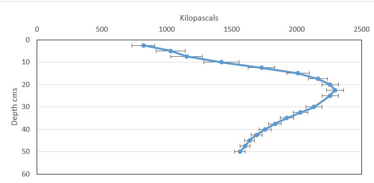Line graph of the kilopscoles at depth in 2017 increasing from 0-25cm  then decreasing 
