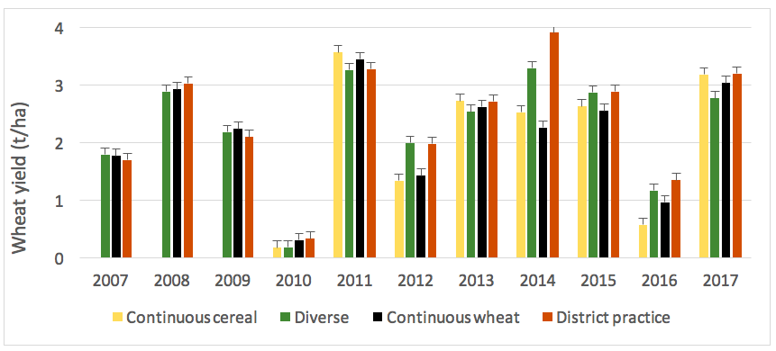 bar graph of wheat yield in response to rotations