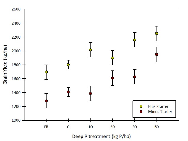 These scatter graph with error bars show the response to different rates of deep P with and without applications of starter P fertiliser in a wheat crop at Condamine in 2018 wheat. The vertical bars represent the standard error for each mean. (Lester et al. 2019a).