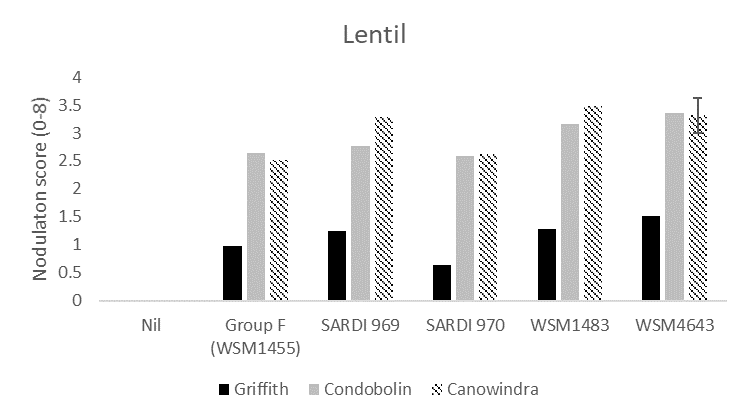 This column graph illustrates the average nodulation score of 15 lentil plants at Griffith, Condobolin and Canowindra where seed was inoculated with peat slurry containing a no rhizobia (nil), the current Group F strain, or one of four experimental strains. A score of 4 is considered adequate under the system developed by Yates et al. (2016).