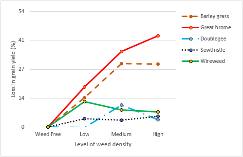 image of weed density 