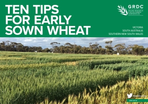 image of Early sown wheat guide