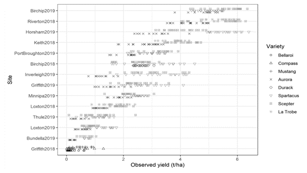 This scatter plot shows the yield across all trial sites and years with different cereal type/variety denoted by different markers. Varieties used: Barley: Compass ; Spartacus CL , La Trobe ; Durum wheat: EGA Bellaroi , DBA Aurora ; Wheat: Scepter , Mustang  ; Oat: Durack .