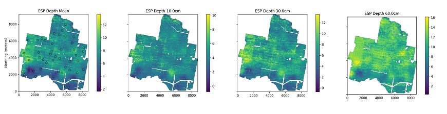 Figure 6. Predicted ESP (%) across the farm using BNN plus GP. Profile average ESP and ESP at three different depths down the profile are shown. 