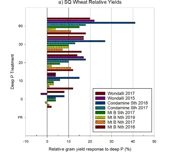 A bar graph showing relative yield responses to deep applied P treatments as a % of the untreated control for wheat in southern Queensland. Note different scales.