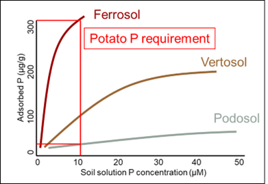 Line graph of the difference in amount of sorbed P that would be needed in each of these soils to achieve a critical solution P concentration to grow a potato crop