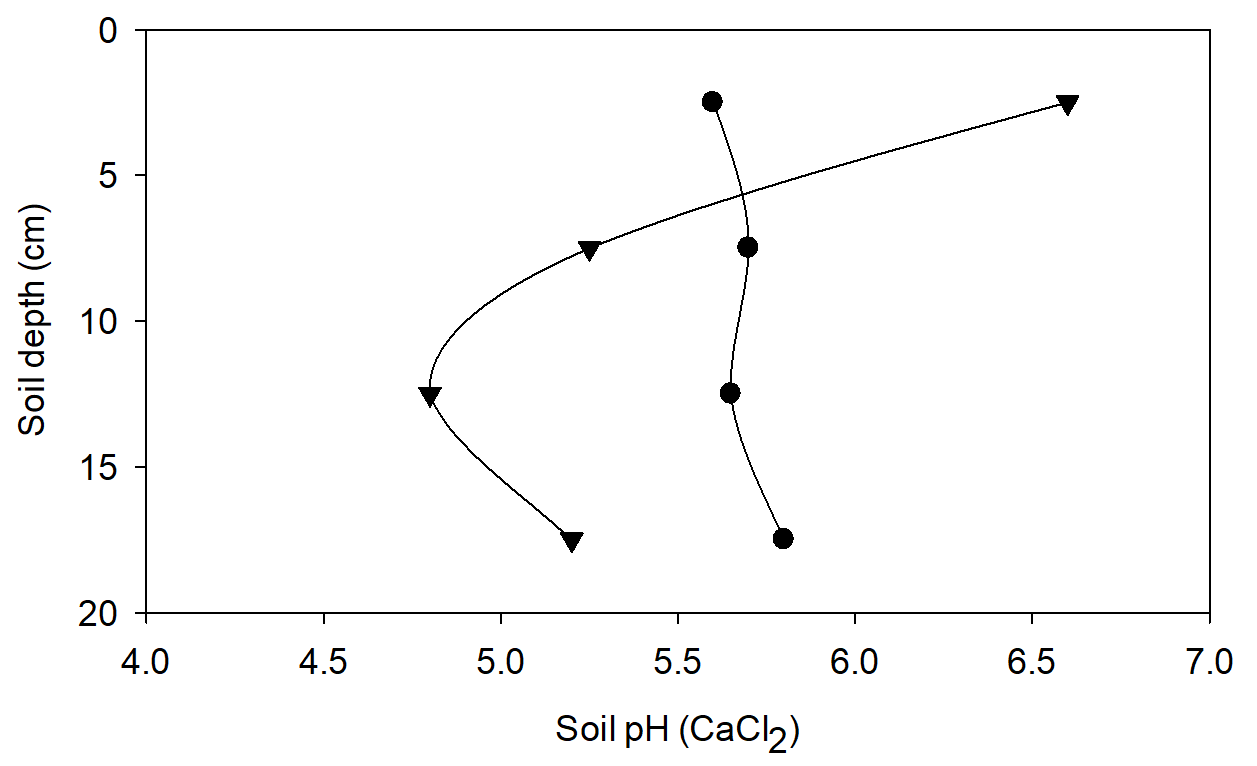 Line graph of soil pH_Ca profiles taken from the field 40 m apart on the same soil type
