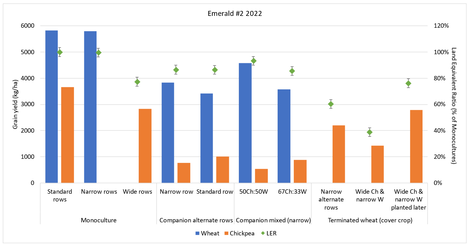Column graph showing the grain yield of companion crops at Emerald 2022 and land equivalent ratios (LER) showing yields relative to monocultures on standard row spacing. Error bars show LSD at p = 0.05; LERs with overlapping error bars are not significantly different.