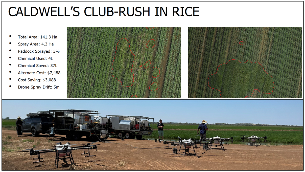 Images showing green on green detection of a weed in rice and integrated into spray drones. Drift was measured to be less than 5m during application.
