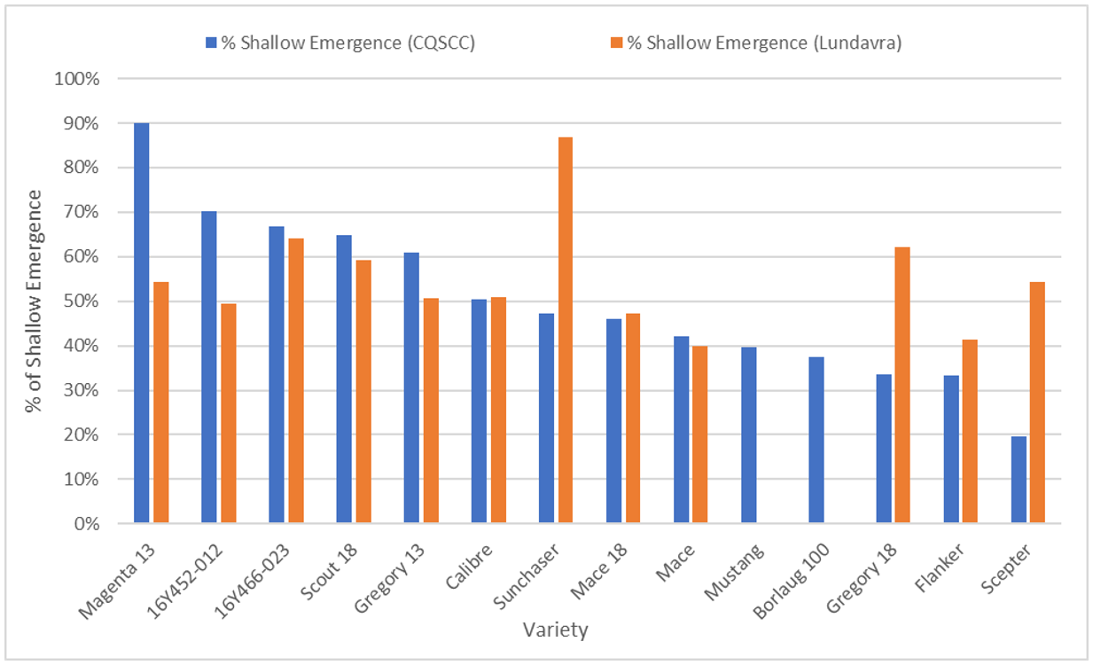 Column graph displaying emergence from deep sowing, presented as a percentage of shallow sown emergence, for each genotype (TOS 1, 2022 only) at both the Emerald CQSCC and SQ Lundavra sites in 2022.