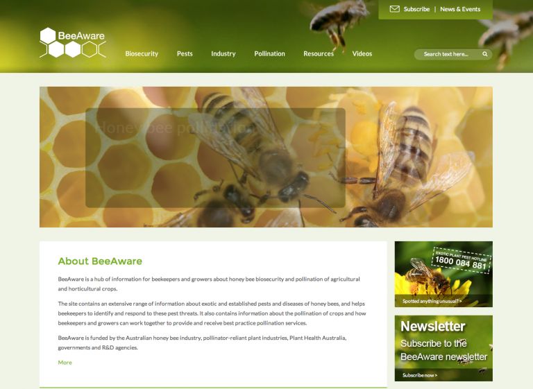 BeeAware screenshot