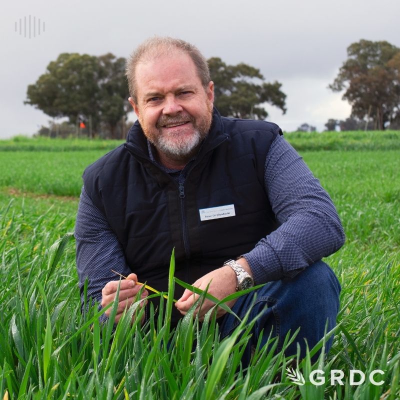 Long coleoptile - Disease interaction and deep sowing