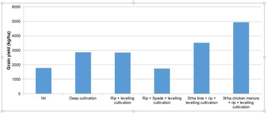 Figure 6. Effect of manure, lime and cultivation on grain yield, Griffith 2015.