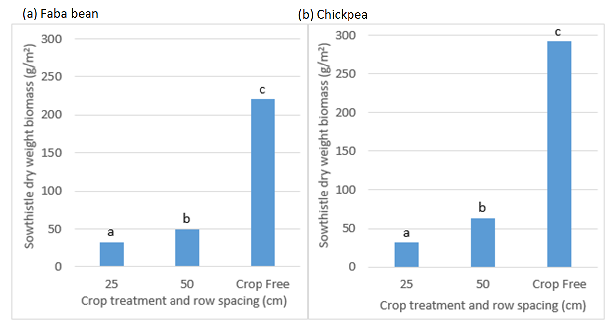 Figure 1 is a set of two column graphs (a) and (b) which show sowthistle dry weight biomass (g/m2) as influenced by (a) faba bean and (b) chickpea row spacing (cm) and the absence of crop. Sowthistle biomass was assessed close to crop maturity on the 9th and 30th October 2018 respectively. Bars with a different letter within a crop are significantly different at a 5% significance level.