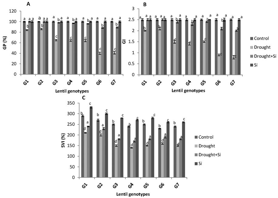 ILL 6002 (G1), Indianhead (G2), PBA Jumbo 2 (G3), Nipper (G4), PBA Flash(G5), PI 468898 (G6) and ILL 1796 (G7) represent different lentil genotypes. Control (C), drought stress (D), drought stress + Si (DSi) and Si alone (Si) are the different drought stress treatments. Mean values provided with error bars represent the standard error. Different letters denote statistical differences at p ˂ 0.05 within genotypes.