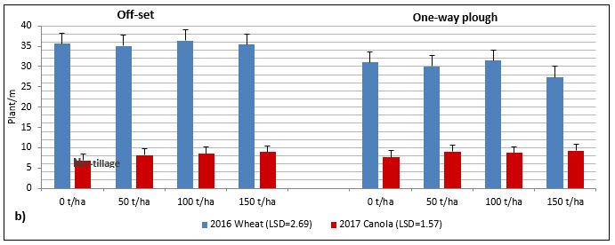bar chart of wheat and canola 
