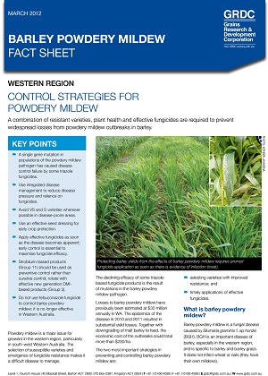 Barley powdery mildew cover image