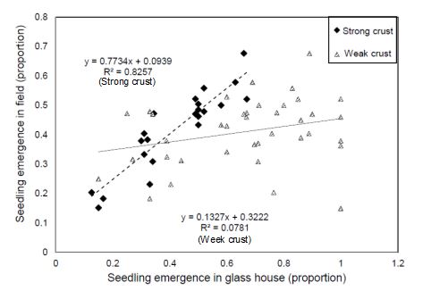 This is a scatter graph showing the correlation between seedling emergence in control environment (strong crust and weak crust, Experiment 2) and relative field emergence. Field crust strength ranged from 1.2 to 3 kg/cm2, which was close to the range of 1.47 to 2.69 kg/cm2 for strong crust created for the pot experiment. In contrast, the emergence rate was higher in the weak crust pot experiments compared to the field with no clear correlation (R2=0.07) as the crust strength of the weak crust treatment was lower than the field situation (Figure 10). 