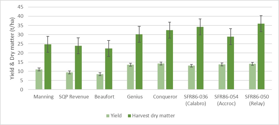 Figure 1. Bar graph showing the influence the cultivar has on grain yield and harvest dry matter measured as tonnes per hectare. Cultivars tested were both commercial controls and new cultivar releases and both were sown on the 6 April during the 2016 harvest season at the Hyperyielding Centre.