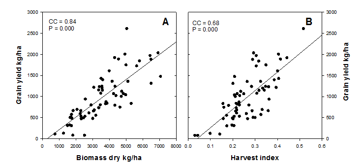 This is a set of two scatter graphs displaying the relationship between grain yield (kg/ha) (A) and biomass kg DM/ha; (B) harvest index across mungbean paddocks in season 2017-18. Spearman correlation coefficient (CC) and significance indicated.
