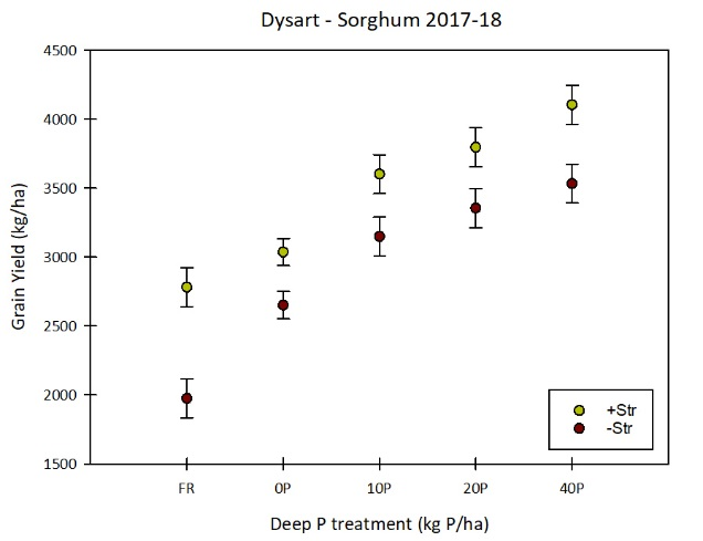 This scatter graph with error bars show the response to different rates of deep P with and without applications of starter P fertiliser in a wheat crop at Condamine in 2018 wheat. The vertical bars represent the standard error for each mean. (Lester et al. 2019a).